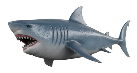 great white shark isolated on white