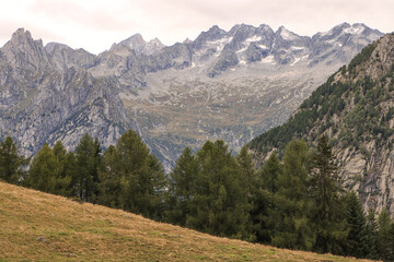Wildromantische Alpenlandschaft des Val Masino; Blick von der Alpe Granda nach Norden