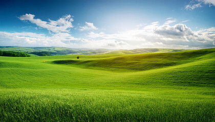 Fototapeta premium grass area green farm fields and sky scenic landscape