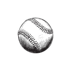 baseball vector design isolated on white background - baseball sketch