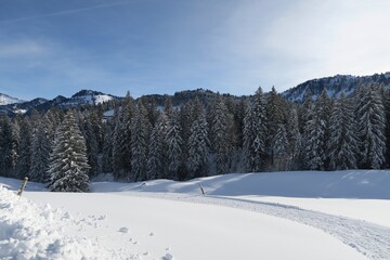 Auf dem Kojen-Schichtkamm in Oberstaufen verläuft ein präparierter Wanderweg. Der Berg im Vordergrund und die Nadelbäume im Hintergrund sind mit Schnee bedeckt.  