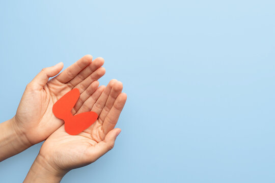 World Thyroid Day concept. Human hand holding thyroid gland shape made from paper on blue background. Awareness of thyroid disease such as hyperthyroidism, hypothyroidism and thyroiditis.