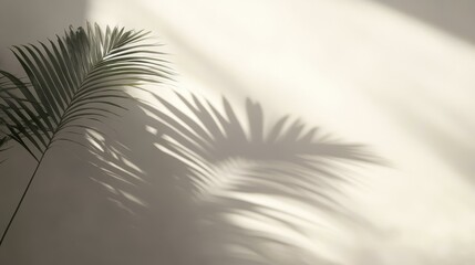 Palm Leaf Shadow on Beige Wall