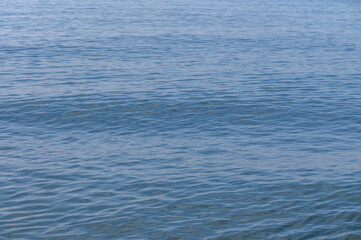 Serene blue waves dance under the sun on a tranquil coastal day