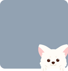 Adorable white Chihuahua coming out of a square shape