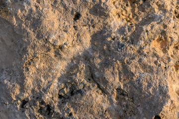 Ancient petroglyphs captured in sunlight reveal the artistry of prehistoric people
