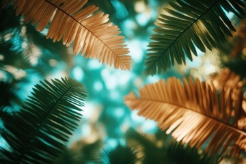 A stunning view of glimmering fern leaves against a sunlit backdrop, showcasing the intricate textures and colors of nature, inspiring feelings of wonder and appreciation.