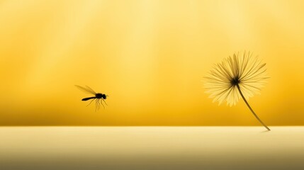 Dragonfly approaching delicate flower on yellow background
