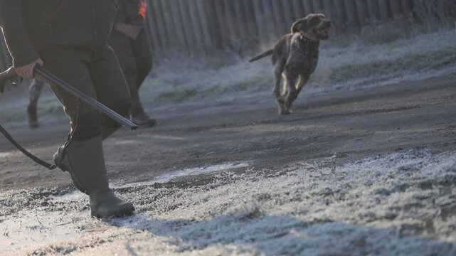Unrecognizable hunters in the morning mist on the hunt with hunting dogs. Cinematic, slow motion shot.