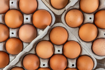 Organic brown eggs in cartons tray
