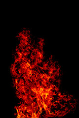 yellow, orange and red Fire flame isolated on background