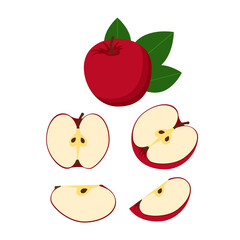 Fototapeta premium Set of apples whole, slices and wedges. Fresh cartoon fruit. Vector illustration