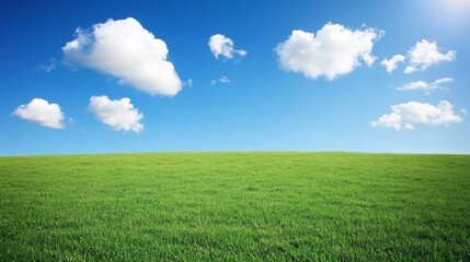 Obraz premium Sunny day, green field, blue sky, fluffy white clouds.