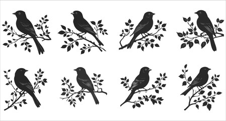 Fototapeta premium Abstract bird on a branch silhouettes, Wildlife bird silhouette vector, Set of bird on a branch silhouettes, Vector of birds sitting on branch silhouettes, Black and white bird silhouette on a branch