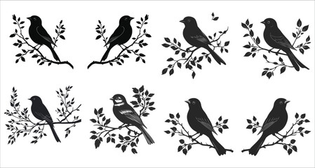 Fototapeta premium Abstract bird on a branch silhouettes, Wildlife bird silhouette vector, Set of bird on a branch silhouettes, Vector of birds sitting on branch silhouettes, Black and white bird silhouette on a branch