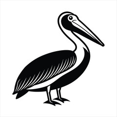 pelican on white background