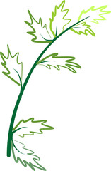 branch with leaves