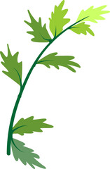 green leaves serrated leaves