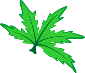 serrated leaves vector