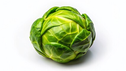 Fototapeta premium Aerial View Single Brussel Sprout, Fresh Vegetable, Drone Photography, Isolated on White Background