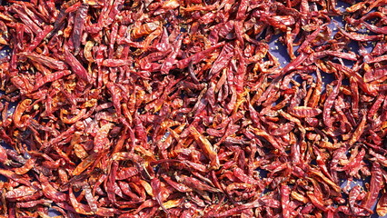 Chilli pepper, chillies spicy chili background dried red chillies background dry chilli chillie kashmiri red chillies
