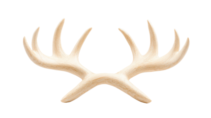 Antler decoration with natural wood finish