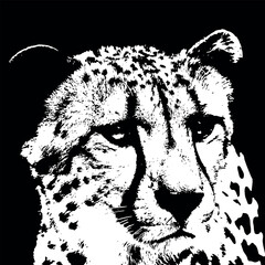 This striking black and white illustration captures the essence of a cheetah's face with its distinctive spots and intense gaze