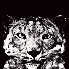 This striking black and white illustration captures the essence of a cheetah's face with its distinctive spots and intense gaze