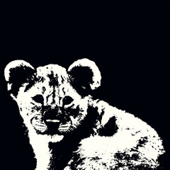 Innocence and curiosity of a young lion cub, set against a solid black background, striking black-and-white illustration 