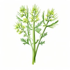 the AI Image Generator, Detailed Botanical Illustration of a Fresh Green Plant