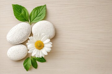 Naklejka premium Natural Stones and Green Leaves with a Beautiful White Daisy Blossom Arrangement
