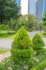 Landscape design of the city park. Composition of various plants and green trimmed figurative bushes