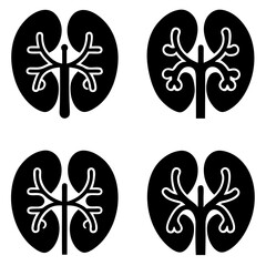 Set of Anatomical Kidney and Lungs Icons