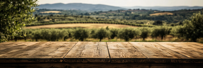 Mesa de madeira rústica ao fundo uma plantação de oliveiras