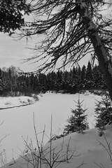 Parc Appalaches 24 Décembre Au 2 Janvier 2025 N&B