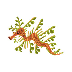 vector drawing tropical fish, leafy seadragon, isolated at white background, hand drawn illustration