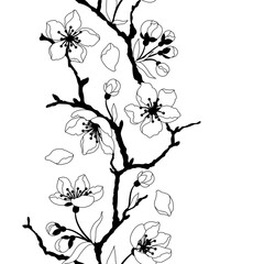 Pattern with spring flowers. Apple, sakura or cherry blossom. Beautiful decorative blooming plants.