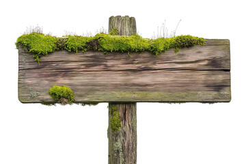 rustic wooden signpost sign board with moss plants, blank weathered guide board, cutout png