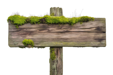 rustic wooden signpost sign board with moss plants, blank weathered guide board, cutout png