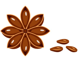 Star anise with seeds isolated on a white background. Spices for cooking. Vector illustration