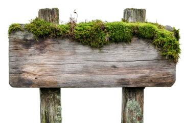 rustic wooden guide board sign board with moss plants, blank weathered signpost, cutout png