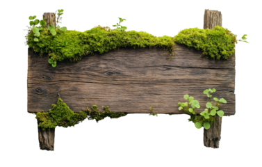 rustic wooden guide board sign board with moss plants, blank weathered signpost, cutout png
