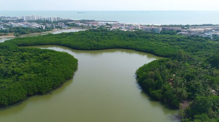 Fototapeta premium Lush Green Mangrove Forest with Calm Water and Urban Landscape in Background