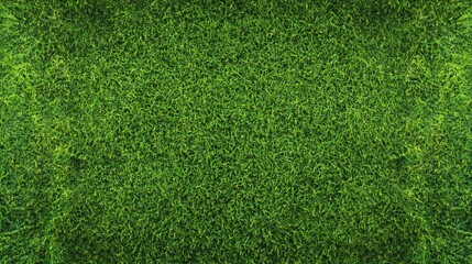 Obraz premium Lush Green Grass Texture Background for Nature, Garden, and Landscape Designs
