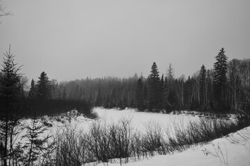 Parc Appalaches 24 Décembre Au 2 Janvier 2025 N&B