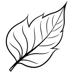 Obraz premium Modern Leaf Outline Vector
