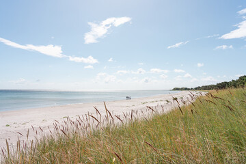 Ostseeküste in Balka Strand auf der Insel Bornholm