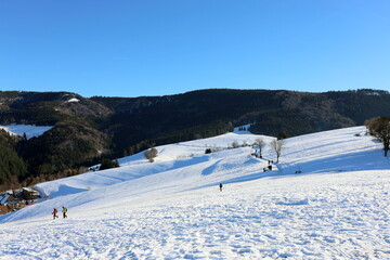 Winterspaziergang auf dem Geiersnest