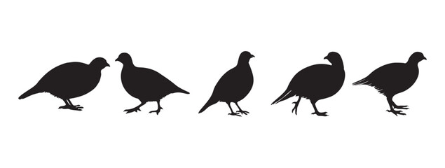 Quail vector silhouette, partridge bird icon vector illustration, quail Silhouette Vector Graphics, 