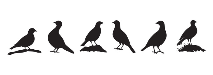Silhouette Vector Graphics or black and white partridge , partridge vector silhouette, partridge bird icon vector illustration